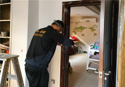 深圳白蟻防治 專業(yè)服務(wù)守護家居與建筑安全