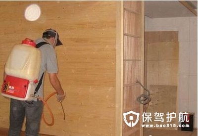 房屋裝修白蟻防治全攻略 專業(yè)措施與服務(wù)詳解